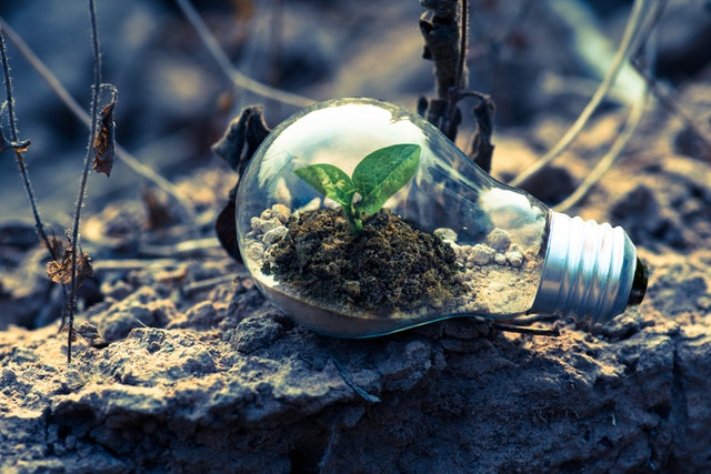 7 Easy Ways to Build a Modern Sustainable Green Business