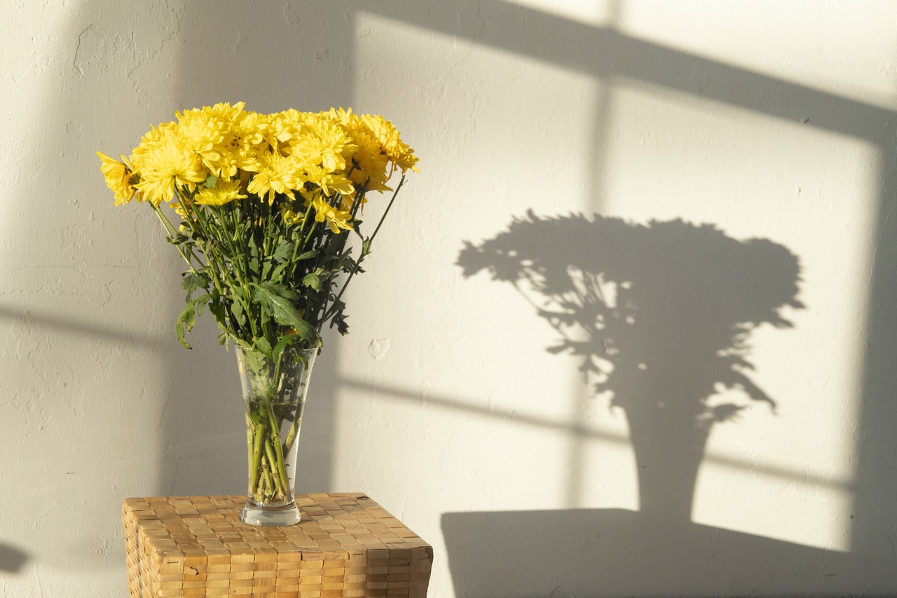 6 Best Flower Gift Ideas for Your Co-Workers That Works Well