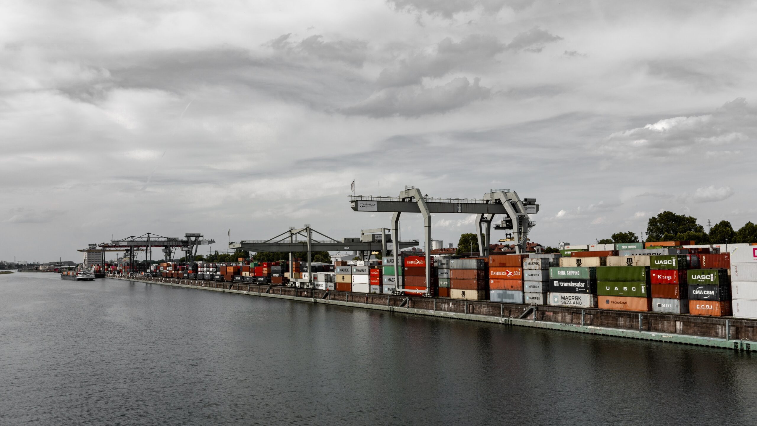 5 Reasons Why Freight Forwarders Are Crucial for Business Success