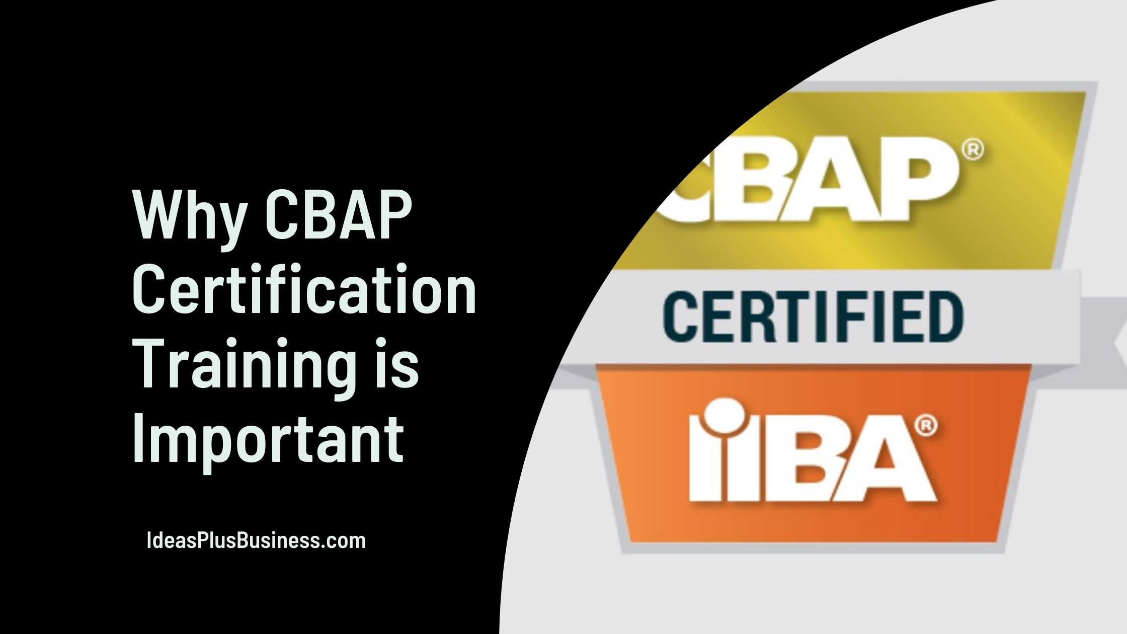 Why CBAP Certification Training is Important to Business Analysts in the USA
